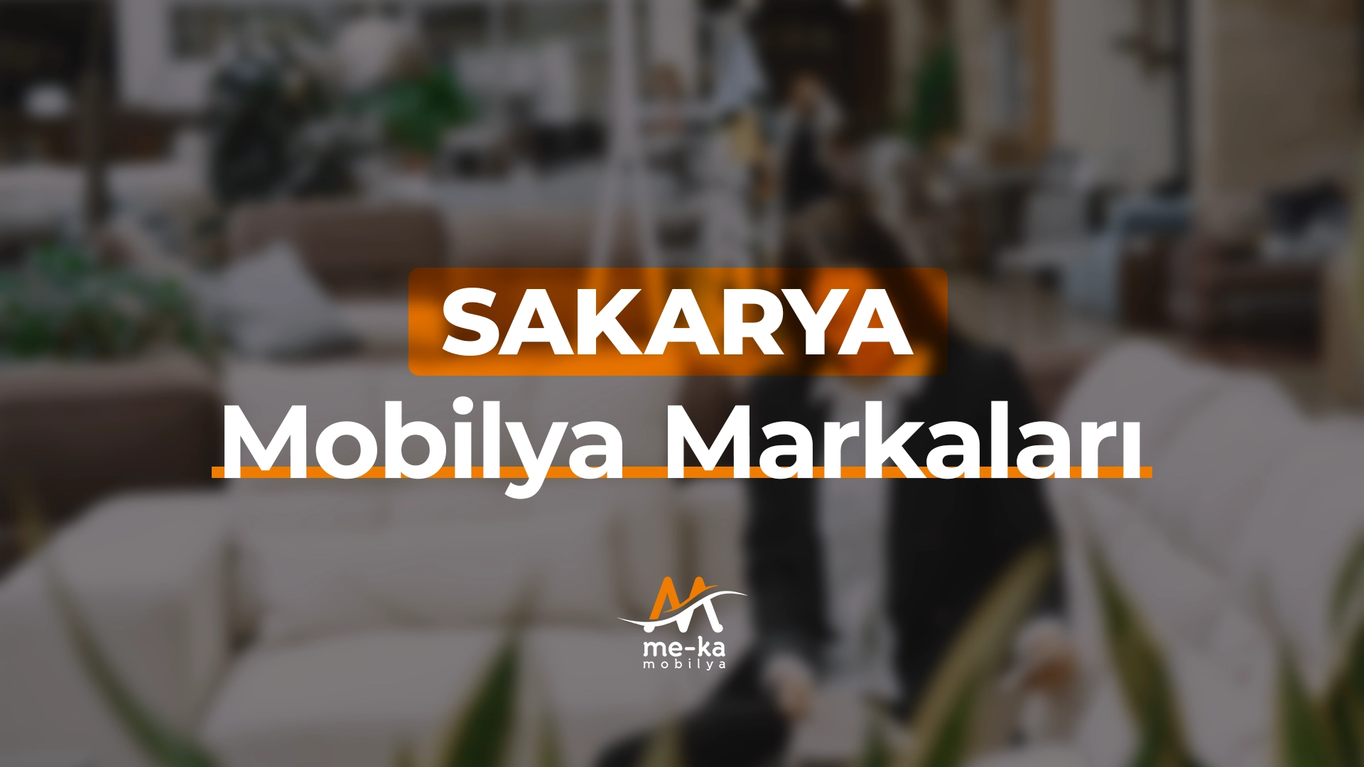 sakarya-mobilya-markalari
